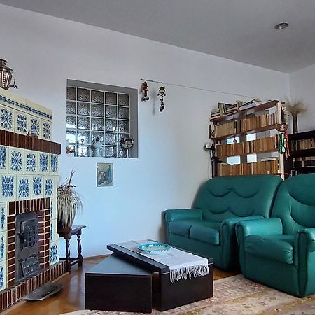 Mirmar - Blumenau Villa Braşov Eksteriør bilde