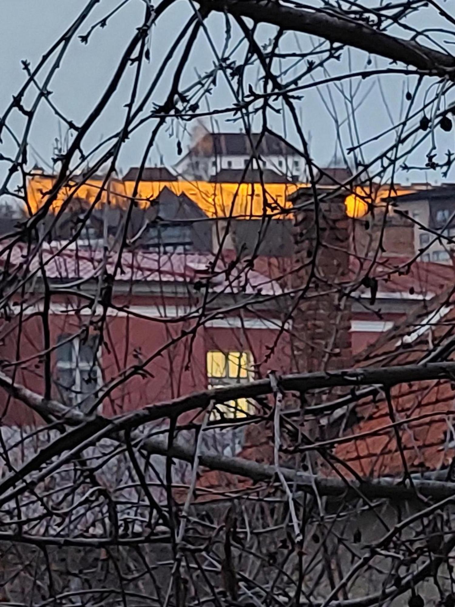 Mirmar - Blumenau Villa Braşov Eksteriør bilde
